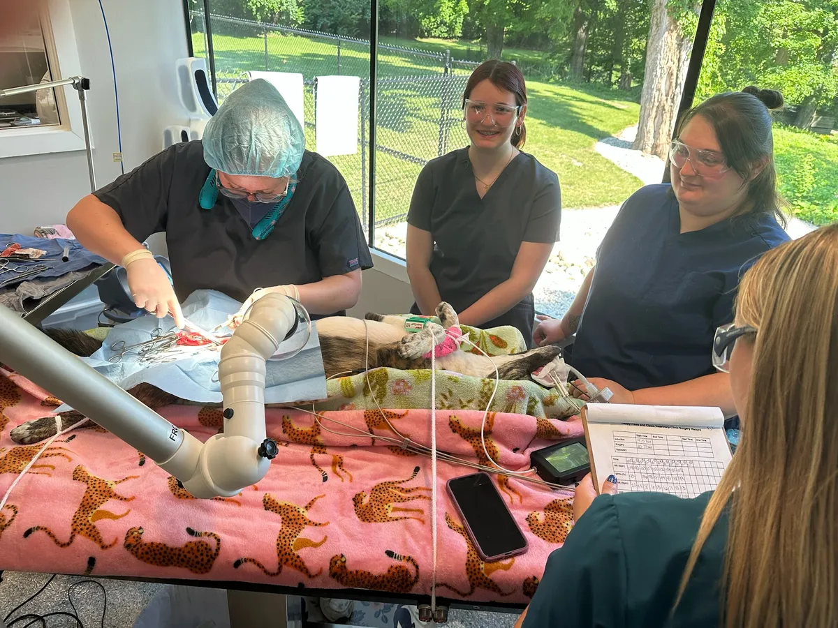 The Happy Paws & Claws team monitoring a patient during a procedure