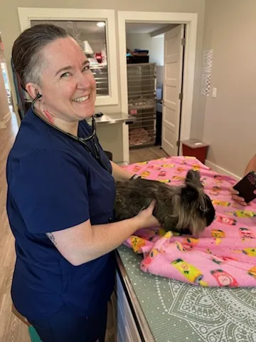 Dr. Angela Melton with a rabbit patient at Happy Paws & Claws in Englewood, OH
