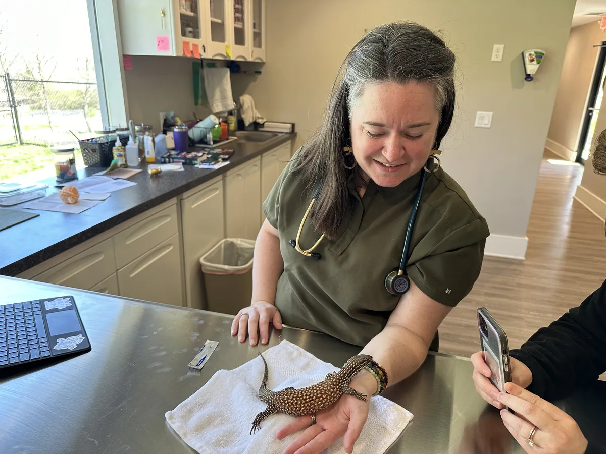 Dr. Angela Melton examining a lizard patient at Happy Paws & Claws