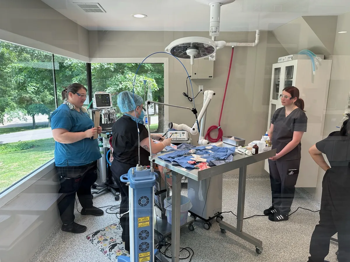 The Happy Paws & Claws team in the clinic's surgery suite