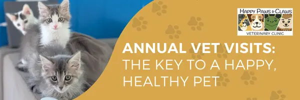 Annual Vet Check Up at Happy Paws