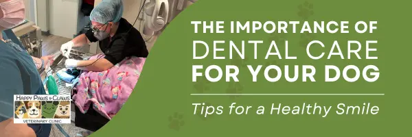 Dental Care at Happy Paws Vet Clinic
